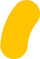 Recurso 32